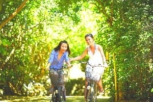 New York Central Park.. excellent enjoyment spot for leisure rides with friends | family. Even experienced bike riders can take advantage of endless paths ..art, architecture 